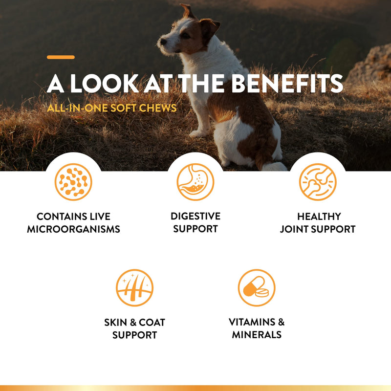NaturVet All-in-One Dog Supplement - for Joint Support, Digestion, Skin, Coat Care – 120 Soft Chews & No Scoot for Dogs - 120 Soft Chews - Supports Healthy Anal Gland & Bowel Function