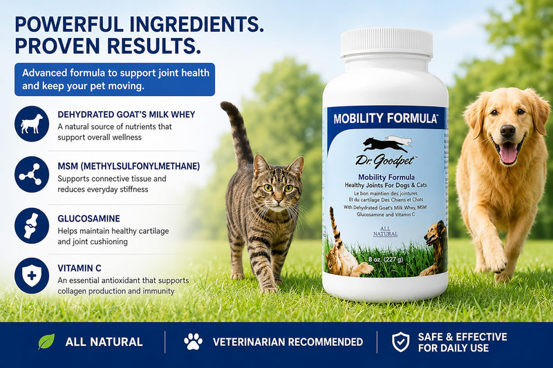 Dr. Goodpet Mobility Formula | All-Natural Hip & Joint Support Powder for Dogs & Cats with MSM, Glucosamine, Vitamin C and Goat’s-Milk Whey | Effective Joint Pain Relief for Active, Aging Pets