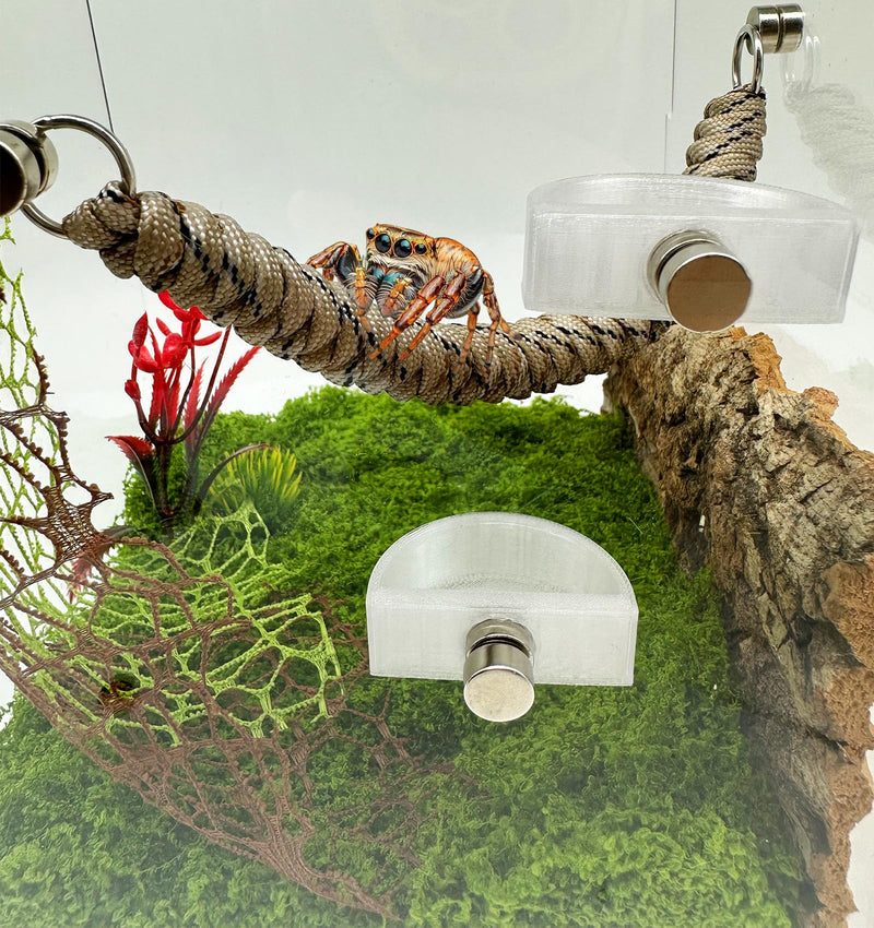 3 PCS Jumping Spider Feeding Dish, Tiny Food Dishes Water Dish for Jumping Spider, Tarantula and Other Small Pets, Half Round - BeesActive Australia
