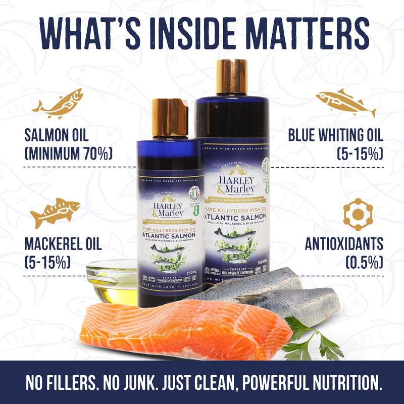 Harley & Marley Finest Atlantic Salmon Oil for Dogs & Cats - Pure Irish Fish Oil Supplement with Omega 3, 6 & 9 -Natural Ingredients for Healthy Skin, Coat, Joints & Heart Support - 250ml