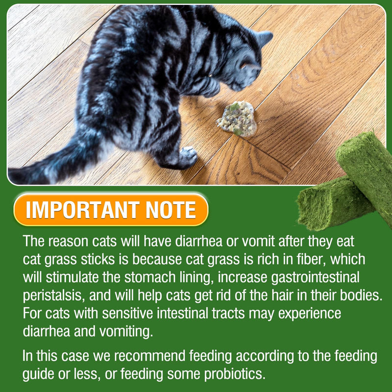 30g Cat Grass Sticks, Delicious Cat Grass Teething Stick Edible Cats Chew Toy Cat Treats Snack for Teeth Cleaning and Hairball Removal 30g