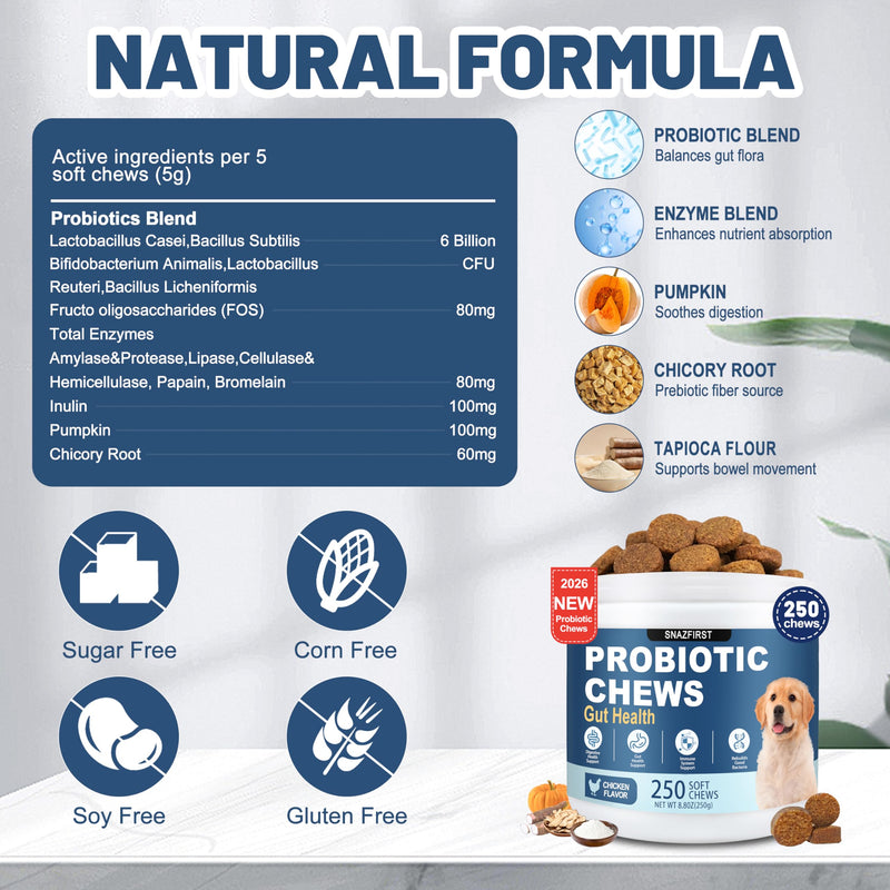 Probiotics for Dogs, Dog Probiotics Chews for Digestive Health & Gut Health, Improve Immune System,Constipation & Diarrhea Relief(Chicken Flavor, 250 Chews) 250 CHEW