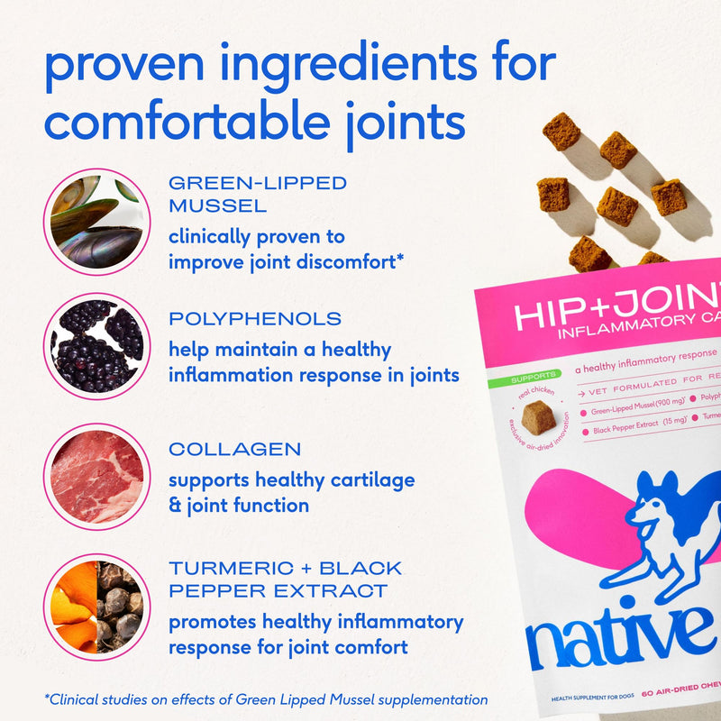 Native Pet Inflammatory Care - Pain Relief for Dogs - Green-Lipped Mussel, Turmeric & Collagen for Dogs - Hip and Joint Supplement Supports Healthy Inflammatory Response & Joint Comfort - 30 Chews 30 Servings