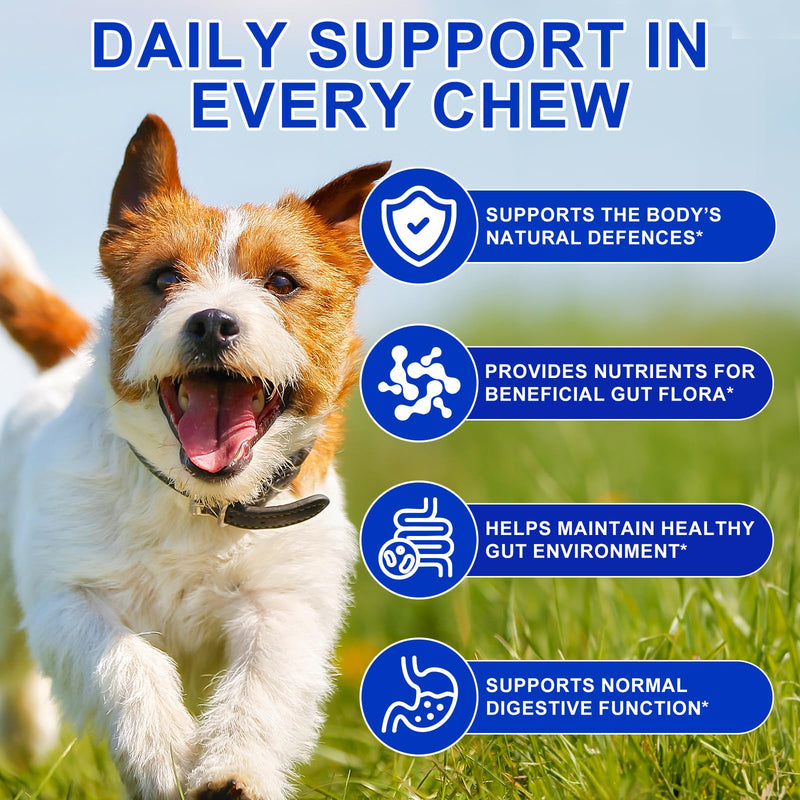 Probiotics for Dogs, Dog Probiotics for Gut Health, Dog Probiotic Supplements, dog probiotics and Digestive Enzymes with Prebiotics, Digestive Support & Itchy Skin Relief,Allergies,Reduce Diarrhea,Gas