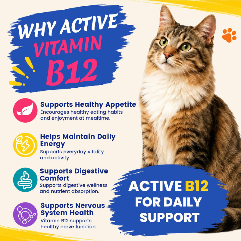 Dog & Cat Appetite Stimulant, Vitamin B12 (Methylcobalamin) Supplement | Energy & Appetite, Immune System Support - 3.5 fl oz