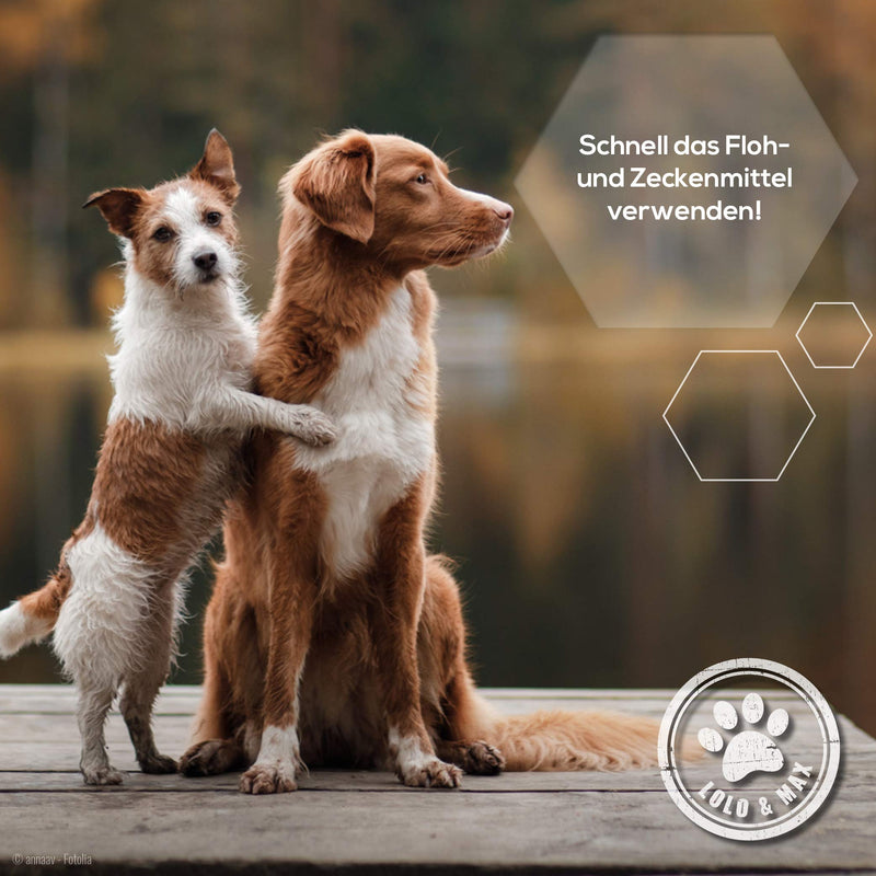 Lolo & Max - Flea & tick treatment for dogs 100% natural spot on - Up to 8 months defense and control of fleas & other parasites (ticks, mites, lice, hair lice, bedbugs) - 40ml - BeesActive Australia