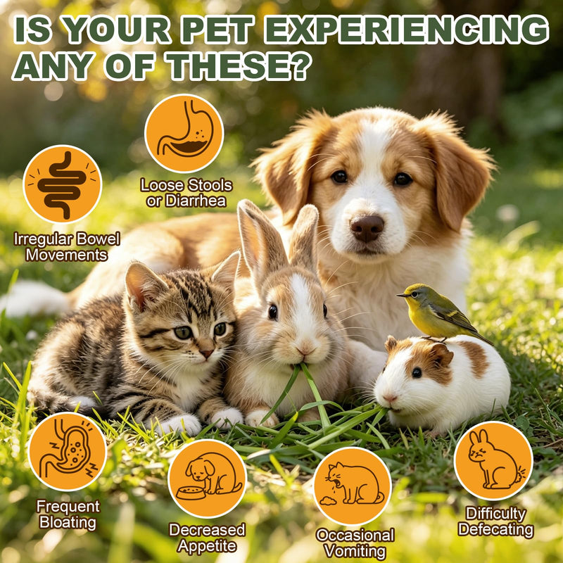 Pet Digestive Supplement, Healthy Stool Support Drops for Dogs, Cats, Birds, Guinea Pigs & Rabbits, Natural Herbs Liquid for Gut Health, Stool Consistency & Sensitive Stomach - 1 oz