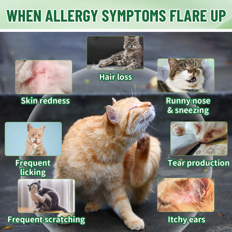 Cat Allergy Support Bundle, Daily Comfort Drops + Soft Chews for Cats, Immune, Skin & Coat Support, Seasonal Wellness, Chicken Flavor, 60ml + 200 Chews