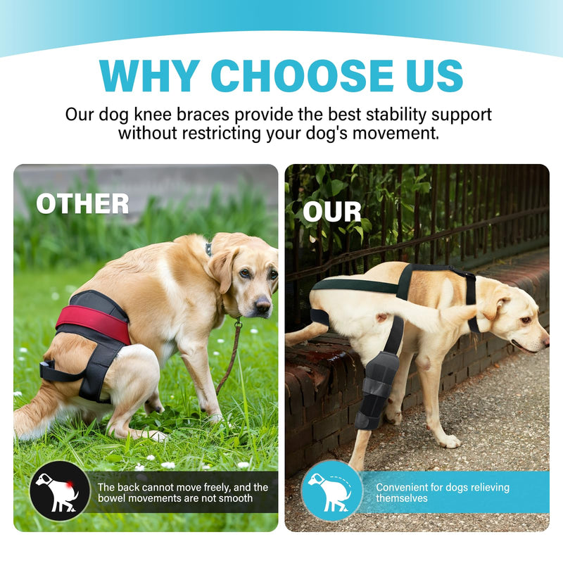 Dog Knee Leg Brace - Dog Knee Brace for Torn ACL Hind Leg, Dog Leg Braces for Back Leg & Front Leg, ACL Tear Leg Support, Comfortable and Adjustable, Size M Black(Dog Leg Brace) - BeesActive Australia
