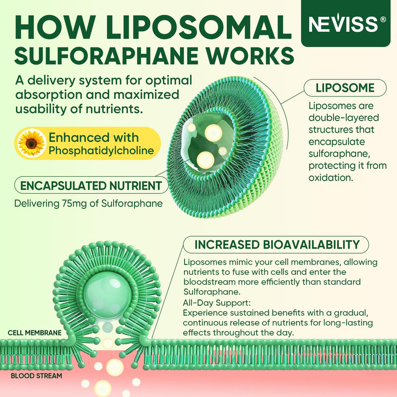 Liposomal Sulforaphane Supplement, Broccoli Gummies for Kids 4+ & Adults | Broccoli Sprouts Extract w/Myrosinase, Omega-3, Vitamin C, E, Supports Cognitive, Brain, Cellular Health, Antioxidant, 120Cts 60 Count (Pack of 2)