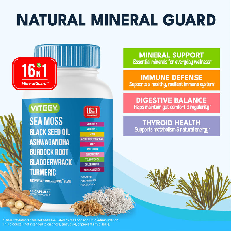 Viteey Sea Moss Capsules with Black Seed Oil - 16in1 MineralGuard | Irish Sea Moss Supplement with Bladderwrack, Burdock Root & Ashwagandha – Immune & Mineral Support - 60 Capsules