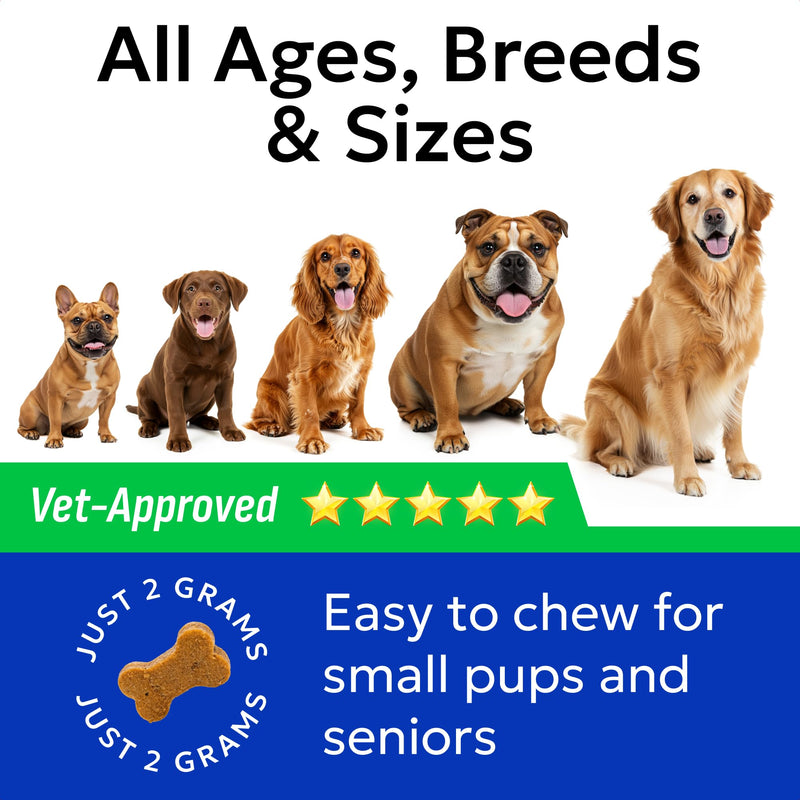 BARK&SPARK Advanced Dog Probiotics for Gut Health - Pre, Post & Probiotic Treats - Dogs Digestive Health Sensitive Tums Support - All Breeds & Ages - Probiotics for Dogs (180 Ct) 180Ct Probiotic Treats