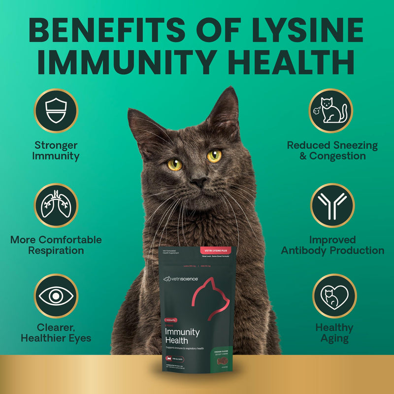 VetriScience Lysine Immunity Health Chews, 250 mg Lysine Plus Immune Supplement for Cats and Kittens with Allergies, Sneezing, Runny Nose and Watery Eyes, Chicken, 3 Pack