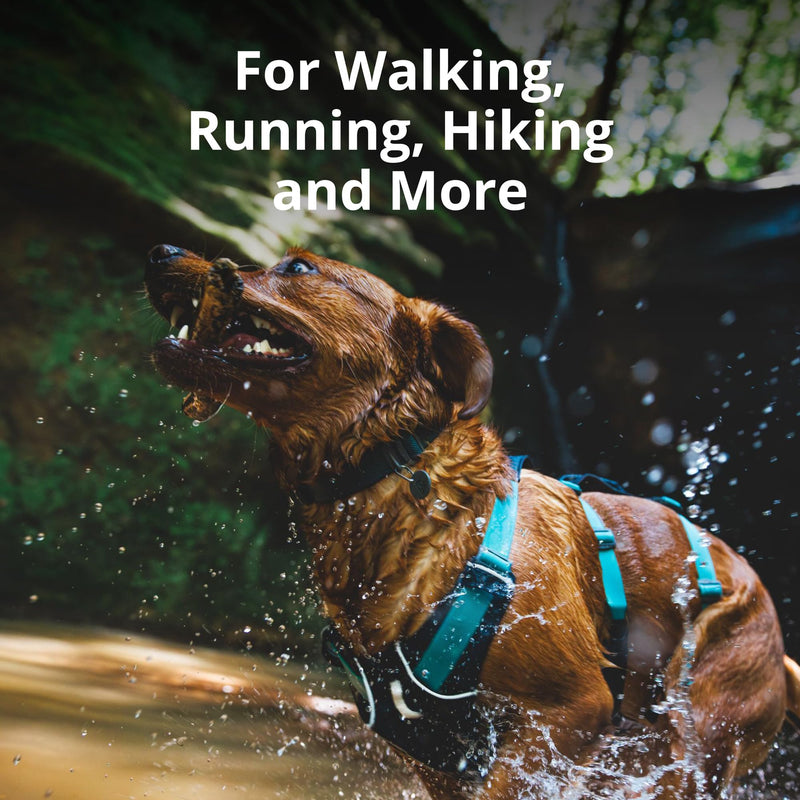 Ruffwear, Flagline Dog Harness, Lightweight and Reflective, No Pull Dog Lift Harness for Hiking, Running and Everyday Use, Blue Dusk, Medium - BeesActive Australia