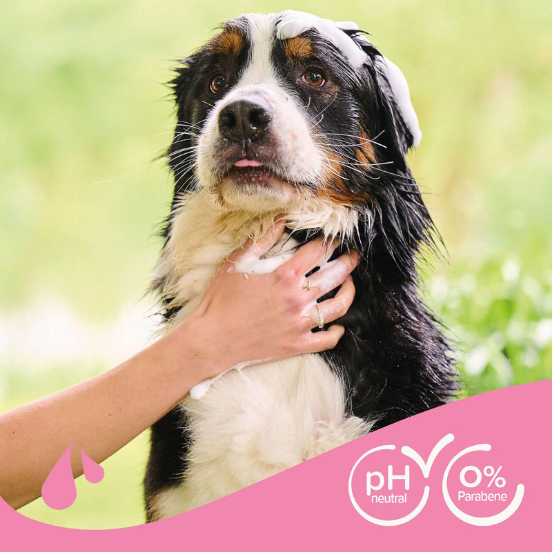BEAPHAR - Detangling shampoo - Loosens matted fur - Skin-friendly - With almond oil and aloe vera - Ph neutral - 0% parabens - Fresh scent - Vegan - 250 ml detangler - BeesActive Australia