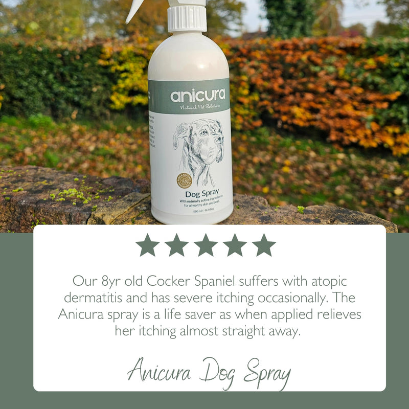 Anicura Dog Spray 500ml – Instant Relief & Long-Term Skin Health – Soothes Itchy, Dry Skin & Allergies – Gentle, Natural Care for All Dogs