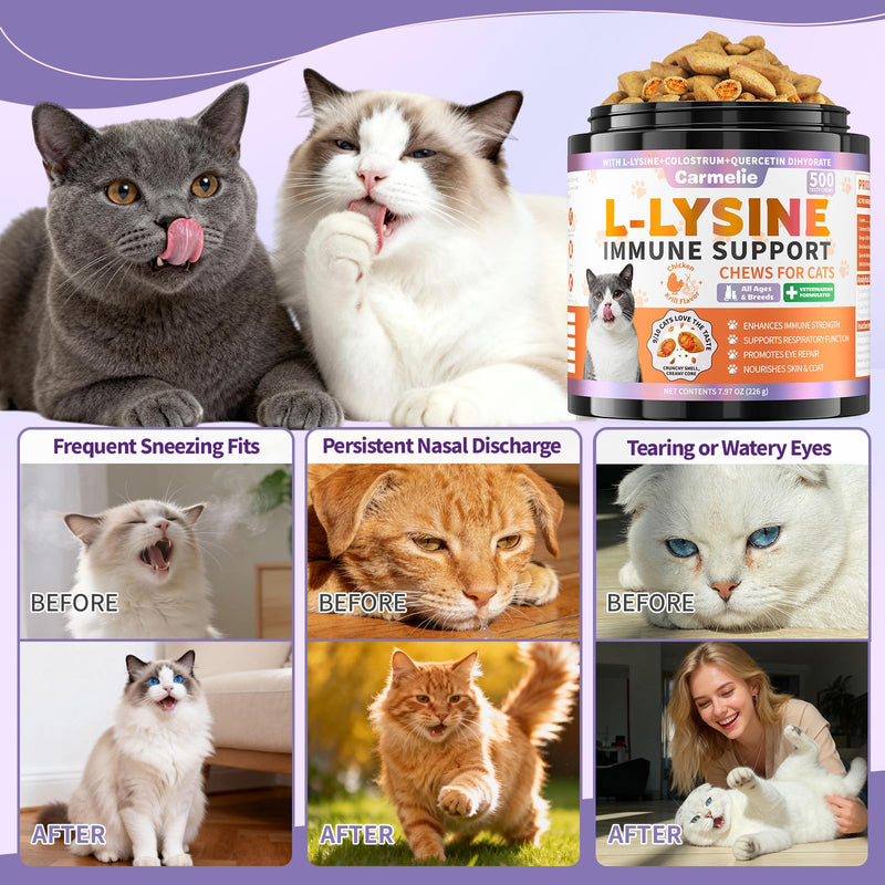 Cat Hairball & Calming Chews Bundle – 500 Hairball Support Chews + 500 Calming Chews for Cats – Digestive & Emotional Wellness
