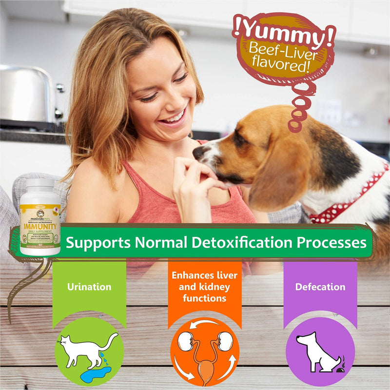Immune Support Dog Supplement - Dog Allergy Relief with Vitamins, Minerals, Echinacea and Brewers Yeast for Dogs - Immunity Dog Health Supplies, Dog Itch Relief - Cat & Dog Vitamins and Supplements - PawsPlanet Australia