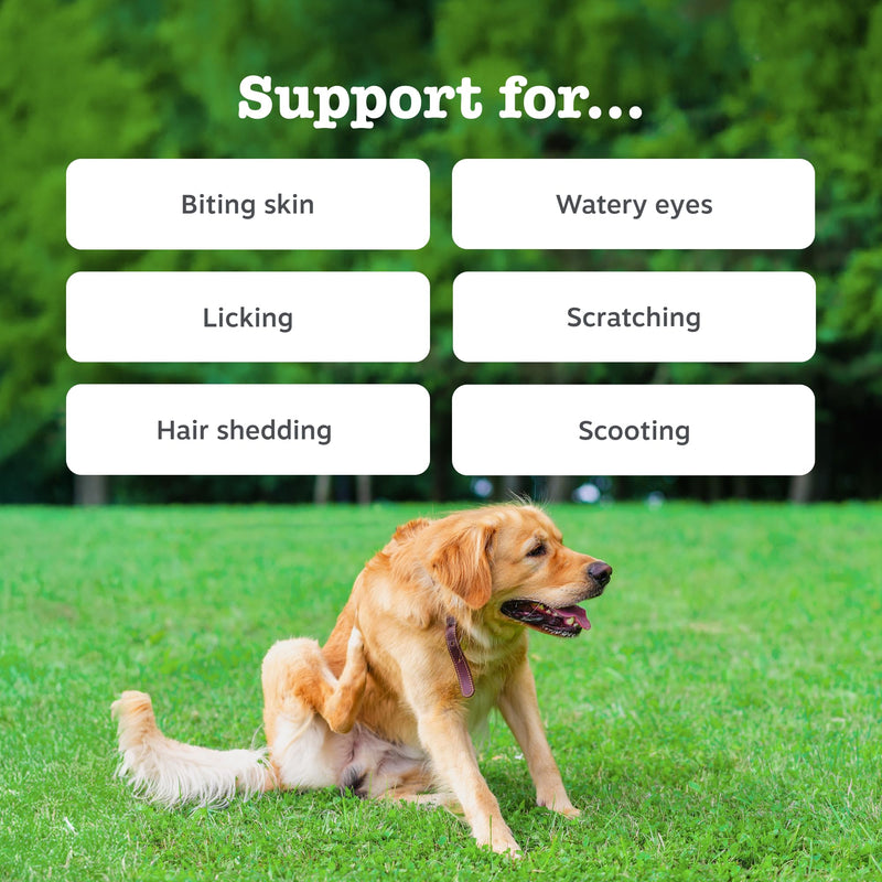 Zesty Paws Aller-Immune Chews for Dogs | Supports Immune Function, Helps Gut, Skin & Coat Health, For Itchy, Dry Skin | Contains Salmon Oil, Prebiotics, Probiotics, Vitamin A | Daily Use | 90 Chews Adult