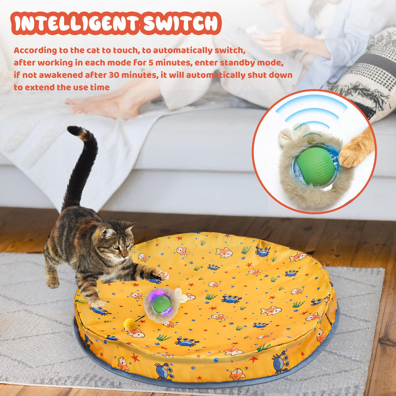 Interactive Cat Toy Ball,Self Rolling Cat Ball in Pouch Fixed with Steel Rim,Rechargable Automatic Motion Activated Moving Toy with 3 Working Modes,Hide and Seek Mouse Catching Game,28 Inch Yellow - BeesActive Australia