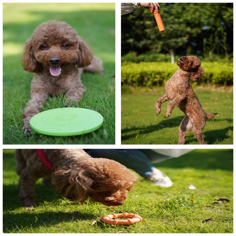 Dog Flying Discs,Natural Rubber Dog Toy for Training Speed and Precise Fetch,Great for Beach and Pool,6 inch Diameter for Medium/Small Breeds (Green) dark green - BeesActive Australia