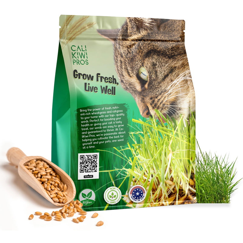 Organic Cat Grass for Indoor Cats & Pets-Wheat Grass & Cat Grass Seeds for Digestion and Hairballs - Non-GMO -16 oz - BeesActive Australia