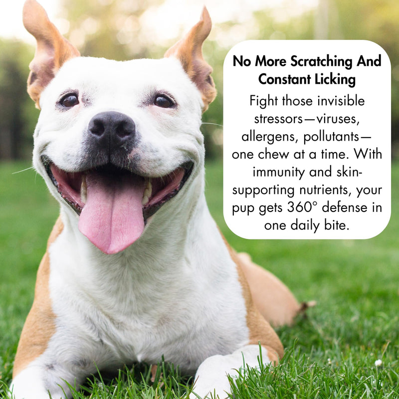 Dog Multivitamin Bundle - Champ's Armor Allergy & Immune Chews + 10-in-1 Supplement | Hip Joint, Skin Coat, Digestive Health Support for Dogs
