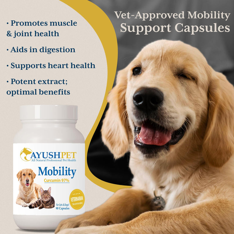 Ayush Pet Mobility, Curcumin Supplement for Healthy Joints, Pure and Powerful Joint, Digestion, and Brain Support, Large or Small Pets, 90 Capsules - PawsPlanet Australia