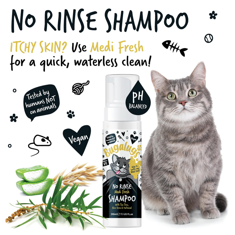 Bugalugs No Rinse Cat Shampoo for itchy skin with Tea Tree & Aloe Vera. Brush through, no rinse shampoo & conditioner for cats and kittens. Foam action grooming dry kitten (No Rinse Shampoo)