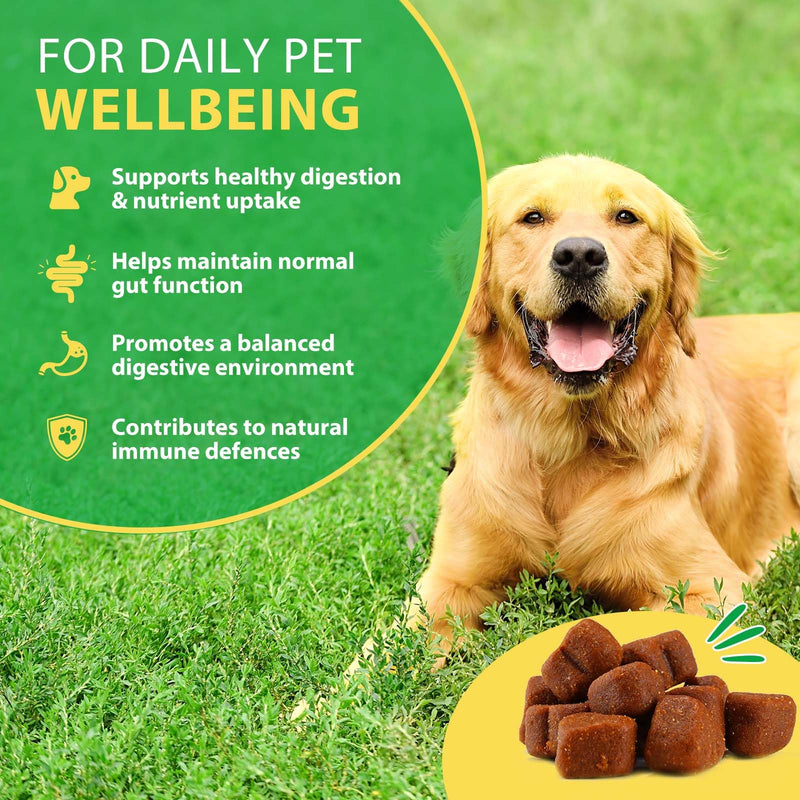 Probiotics for Dogs, 120 Soft Chews Dog Probiotics for Gut Health Supplements, Supports Digestive, Gut Flora Balance, Immune, Skin & Coat Health & Everyday Vitality