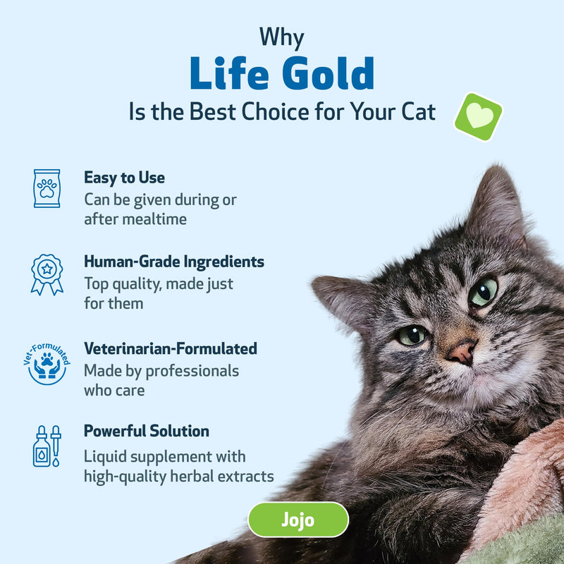 Pet Wellbeing Life Gold for Cats - Immune Support, Antioxidants, Detoxification, Cellular Health, Astragalus, Blessed Thistle, Sheep Sorrel - Veterinarian-Formulated Herbal Supplement 2 oz (59 ml) 2oz - BeesActive Australia