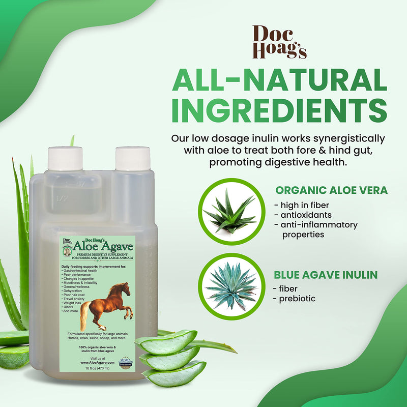Original Udder Balm Doc Hoag’s Aloe Vera+Agave Premium Horse Supplement for Gut Health, Natural Equine Gastric Support & Stress Relief, Support Ulcer Improvement for Horses and Other Large Animals 16 Fl Oz - BeesActive Australia