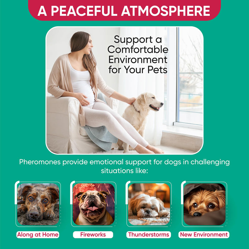 Calming Diffuser for Dog: Appeasing Dog Pheromones Calming Diffuser Plug in Kit for Separation Anxiety, Stress Chewing, Peeing Accidents, 2 Diffusers + 2 Refills Teal