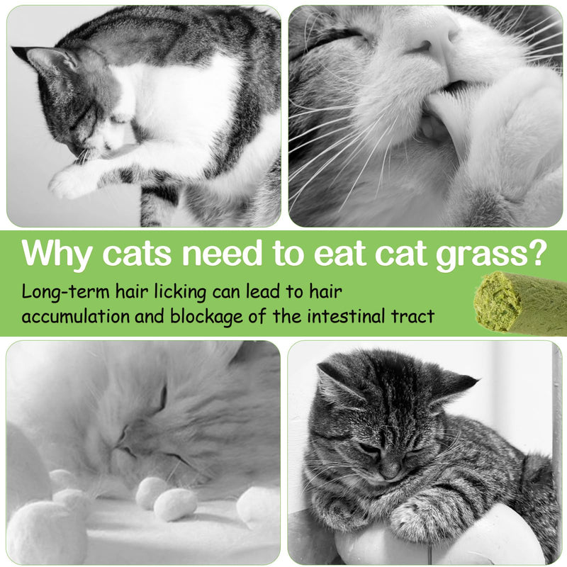 HavenJanny 50g Cat Grass Teething Stick, Freezed Drying Cat Grass Sticks Snacks for Cats, Edible Cat Treats for Teeth Cleaning and Hairball Removal - BeesActive Australia