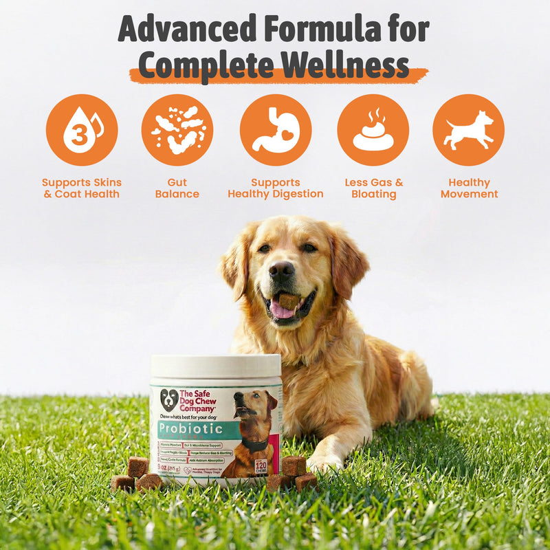 Probiotic Soft Chews for Dogs – Digestive Support with 6 Probiotic Strains, Pumpkin & Digestive Enzymes – Supports Gut Health, Regular Stools & Less Gas – Chicken Flavor – 120 Chews – Made in USA