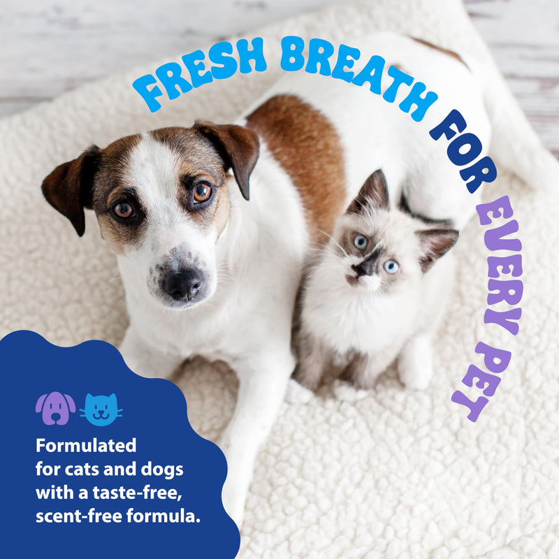 Dental Fresh – Advanced Plaque & Tartar Support Water Additive for Dogs & Cats – Helps Freshen Breath and Clean Teeth Without Brushing – 17 fl oz 17 Fl Oz (Pack of 1)