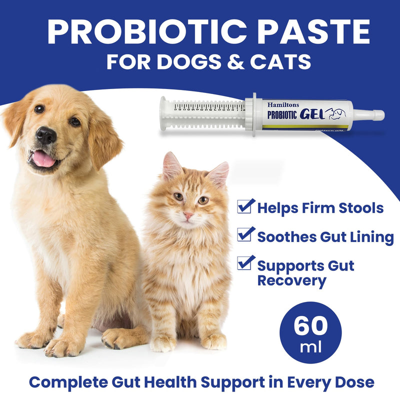 Hamiltons XL 60ml Probiotic & Prebiotic Paste for Dogs & Cats – Chicken Flavour Digestive Supplement – Supports Firm Stools, Digestive Upset & Gut Balance – Immune Support – Large Tube for All Breeds