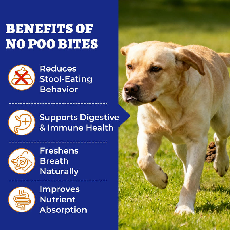 Wellix 260g No Poo Chews for Dogs - Stool Eating Deterrent for Dogs Coprophagia Relief with Probiotics Digestive & Gut Health - Support Breath Freshener & Immune System, Chicken & Pumpkin Flavor