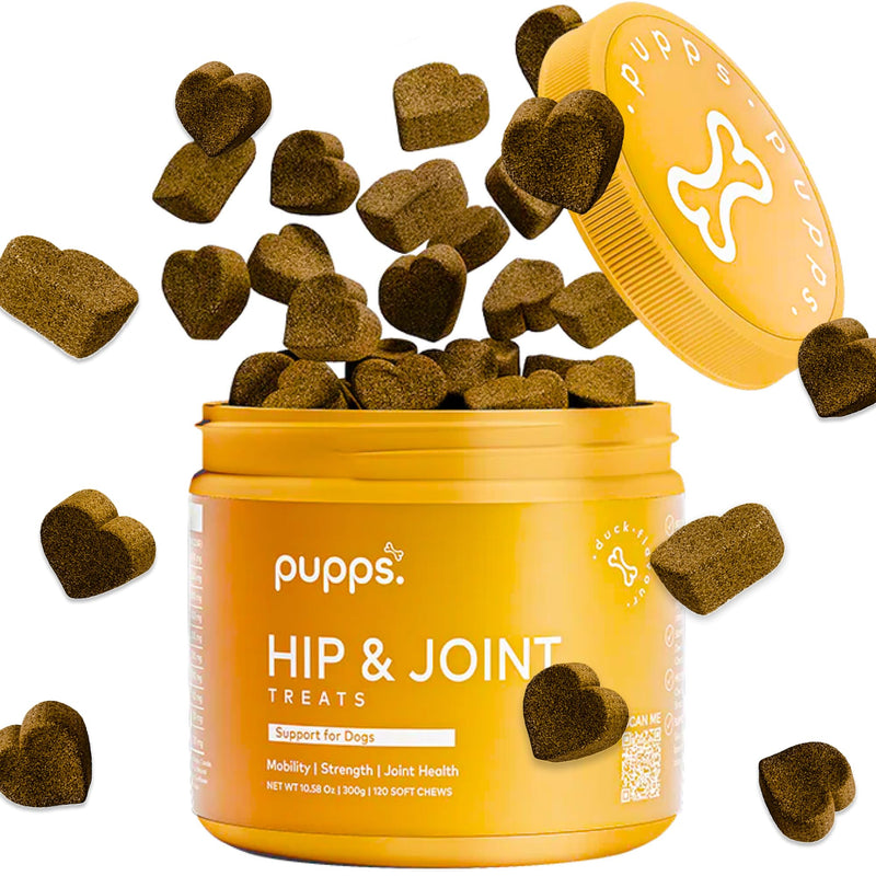 Pupps Hip & Joint Dog Treats – 120 Chews with Glucosamine (1000mg), Green Lipped Mussel & MSM | Joint Support for Dogs of All Ages | Helps Mobility, Stiffness & Comfort | Vet Approved, UK Made 120 x Chews