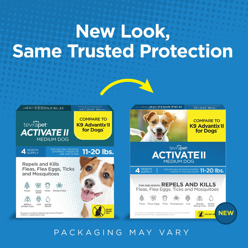 TevraPet Activate II Flea and Tick Prevention for Dogs | 4 Count | Medium Dogs 11-20 lbs | Topical Drops | 4 Months Flea Treatment (Pack of 2) Medium 11-20 lbs (Pack of 2)