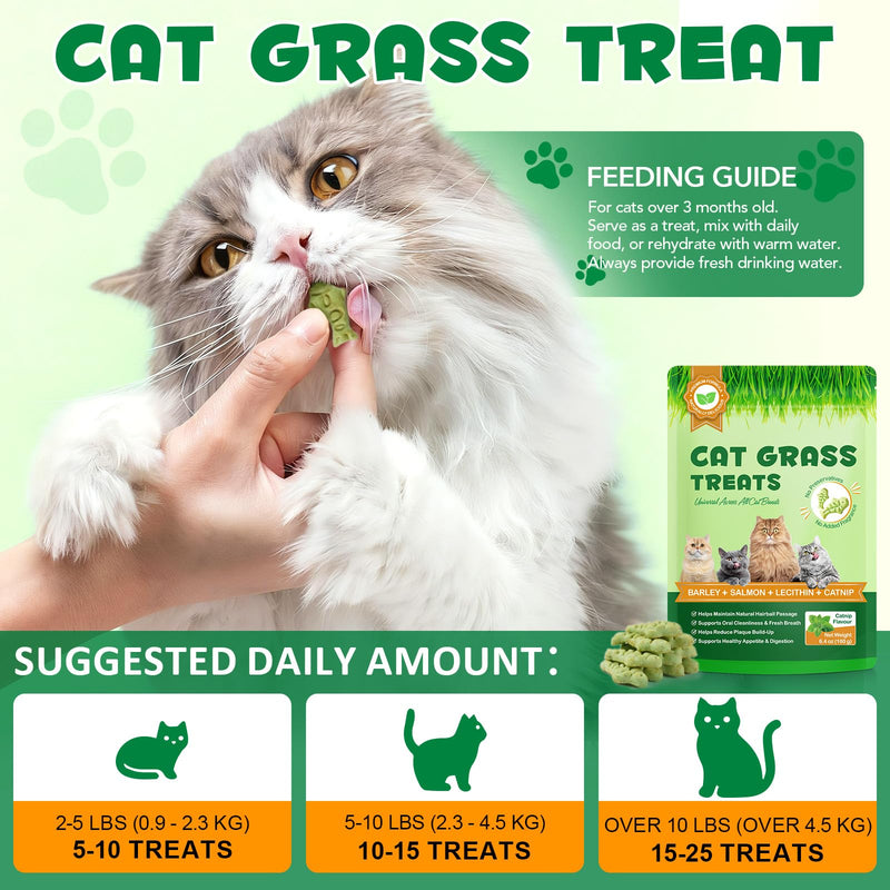 Cat Grass Treats,Cat Treats for Indoor Hairball Control,Delicious Kitten Grass Teething Stick for Hairball Remove and Teeth Cleaning,Catnip Flavour