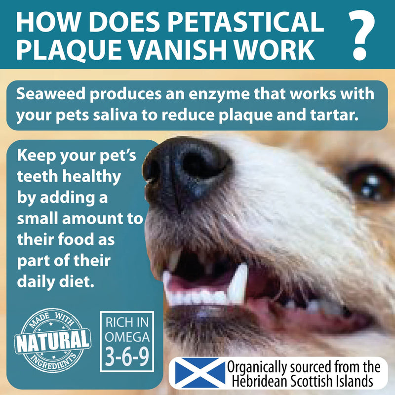 Plaque Vanish | 100% Natural Seaweed Dental Powder | Plaque Off Tartar Remover for Dogs & Cats | Banish Bad Breath | Made in UK (450g) 450g