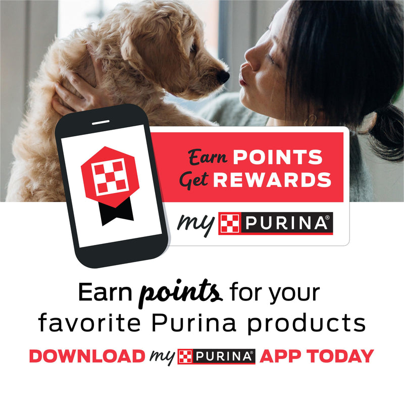 Purina DentaLife Made in USA Facilities Cat Dental Treats, Tasty Chicken Flavor - (Pack of 10) 1.8 oz. Pouches 1.8 Ounce (Pack of 10) - PawsPlanet Australia