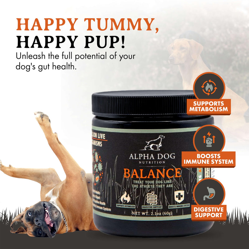 Balance Probiotic Blend for Dogs by Alpha Dog Nutrition - PawsPlanet Australia