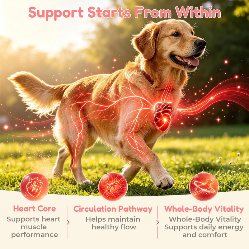 VUN Dog Heart Supplements–Dogs Cardio Support Soft Chews with CoQ10,Cardiovascular & Antioxidant Support with L-Carnitine for Senior Dogs Vitality& Energy Support,100 Counts