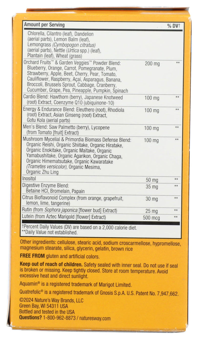 Nature's Way, Multivitamin Alive Energizer Mens, 90 Capsules