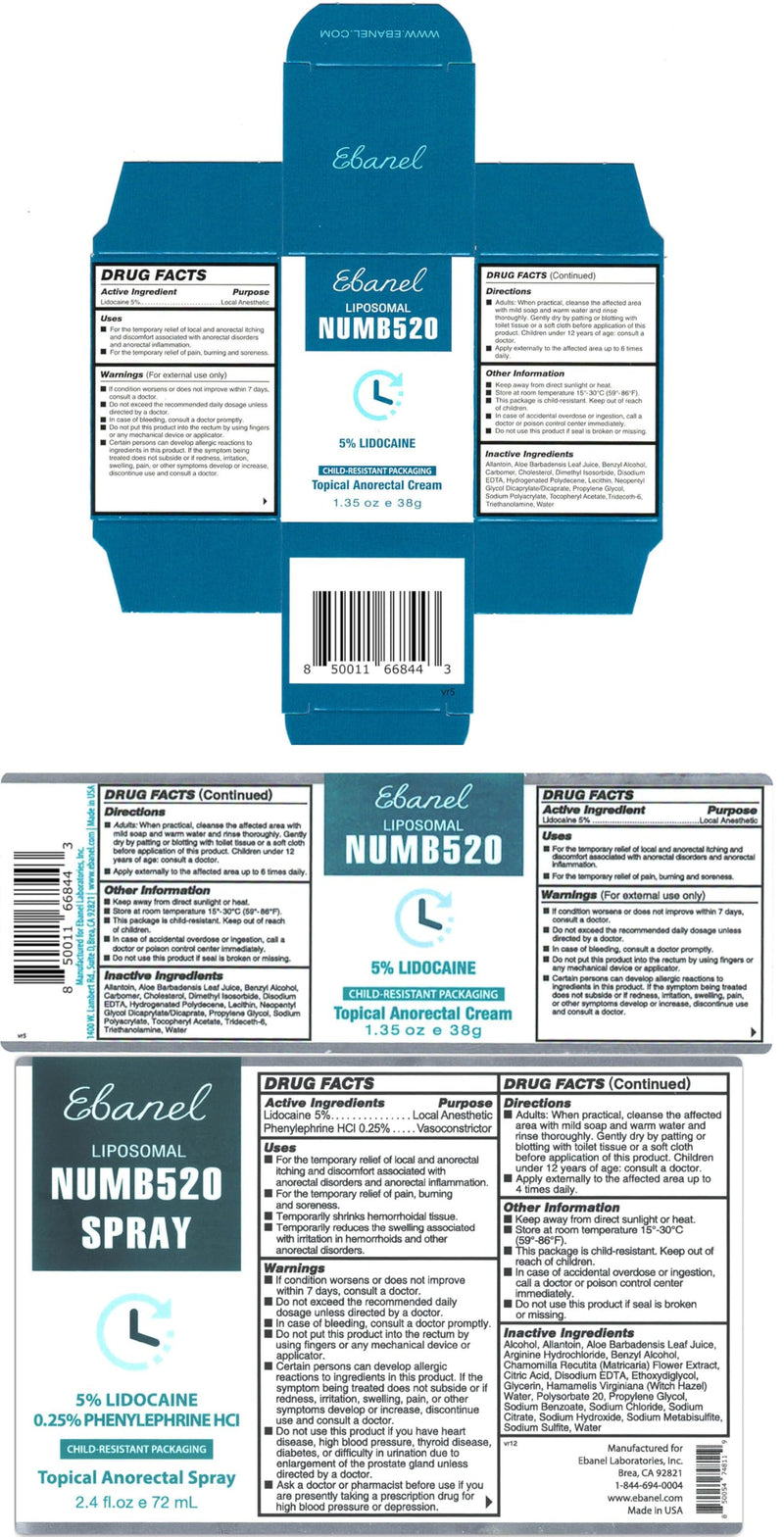 Ebanel Set of 5% Lidocaine Numbing Cream and 5% Lidocaine Spray Pain Relief Numbing Spray for Skin, Maximum Strength Topical Anesthetic to Numb Pain Burn Itch for Local and Anorectal Uses Numb520 & Spray