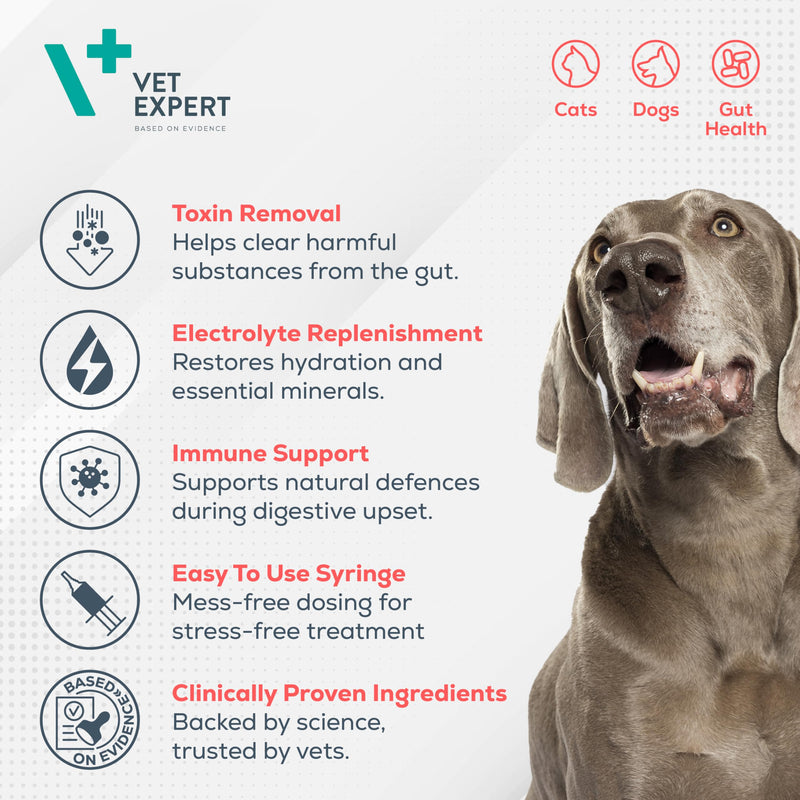 Vet Expert BioProtect Paste – Digestive Support for Dogs and Cats, Relieves Diarrhoea, Boosts Gut Health, and Restores Intestinal Balance with Probiotics, Prebiotics, and Bentonite (15 ml Syringe)