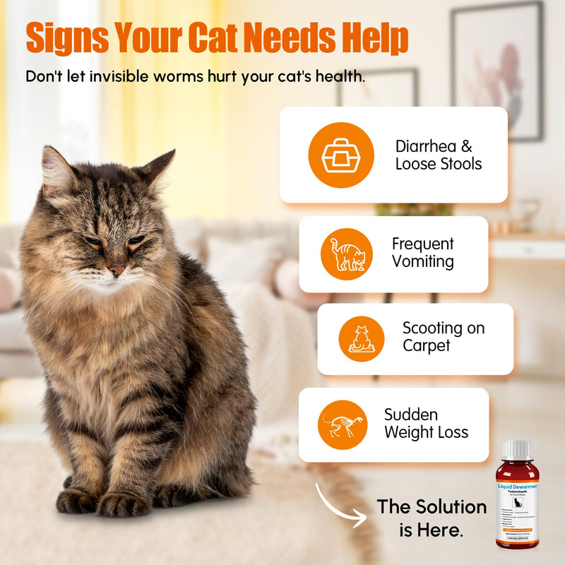 Dewormer for Cats & Kittens Fenbendazole Liquid - Broad Spectrum Suspension - Easy to Mix with Food - Removes Roundworm, Hookworm, Tapeworm - Includes 3ml Dosing Syringe (100ml)