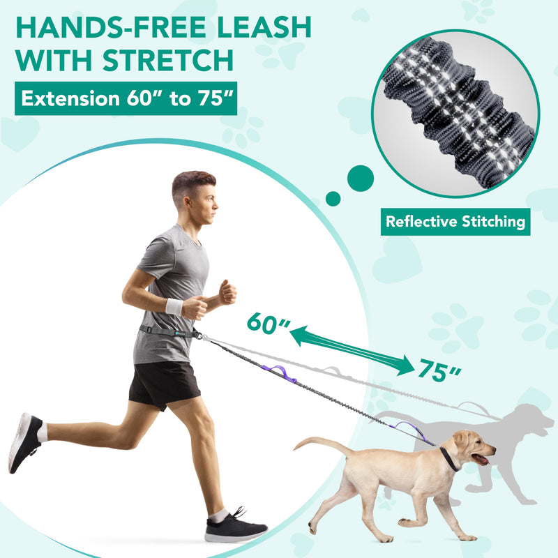 PetAmi Hands-Free Dog Leash for Walking, Running & Hiking, Heavy Duty Bungee Waist Leash with Dual Padded Handles, Adjustable Reflective Belt for Small, Medium & Large Dogs up to 150 lbs, Purple 1 Leashes
